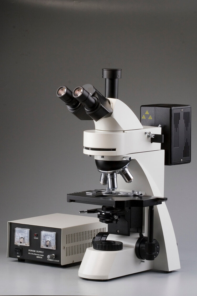 Fluorescence microscope